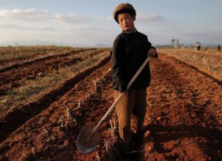 UN investigator: 11 million North Koreans are undernourished