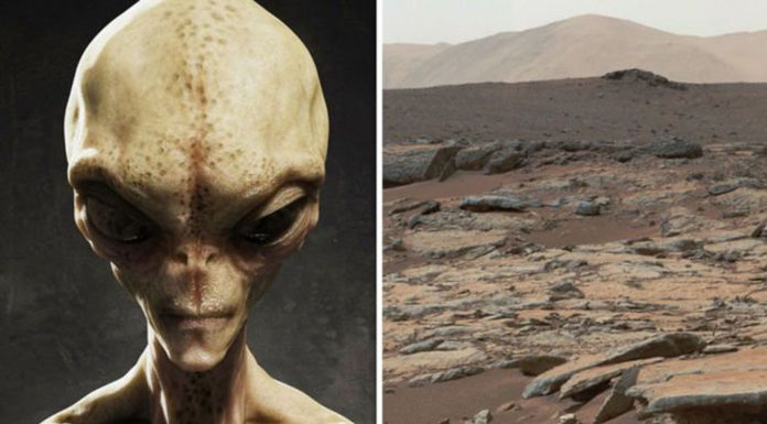 NASA Scientist Warns: We’re About to Find Life on Mars but the World is “Not Prepared”