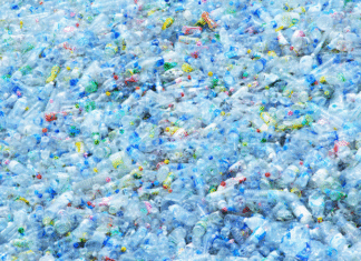 98% of Plastics Entering the Oceans Go Missing Each Year – Here’s the Likely Culprit