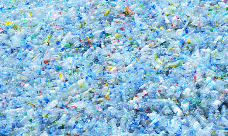 98% of Plastics Entering the Oceans Go Missing Each Year – Here’s the Likely Culprit