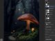 Adobe deals with ‘painful’ early reviews of Photoshop for iPad