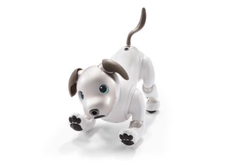 With new APIs, Sony’s robot dog could be the smart home assistant you’ve always wanted