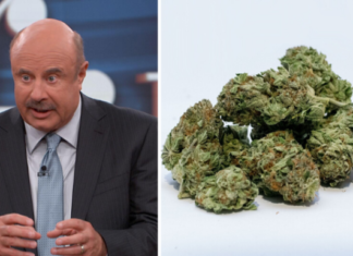 Dr. Phil Says Smoking Weed Makes You Violent and Lowers Your IQ