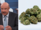 Dr. Phil Says Smoking Weed Makes You Violent and Lowers Your IQ