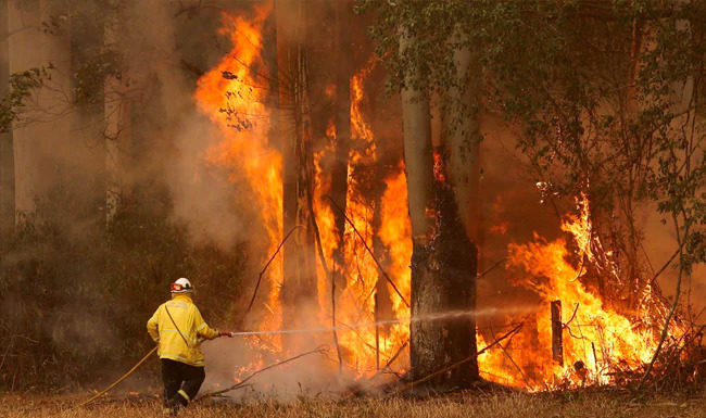 'Worst on record': Thousands flee as Australia's bushfires spread