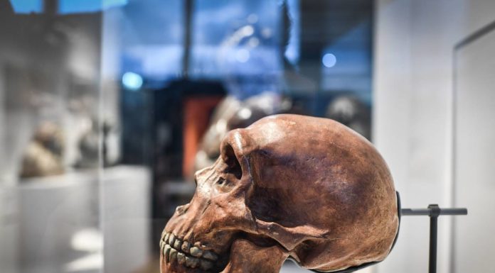 Scientists find evidence of 'ghost population' of ancient humans