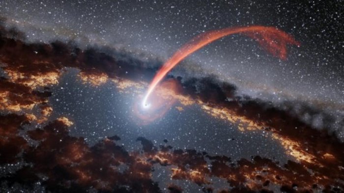 Black Hole Shredding a Star Leads to a New Astronomical Discovery