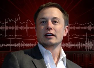 Tesla's Elon Musk dropped an EDM song called 'Don't Doubt ur Vibe'