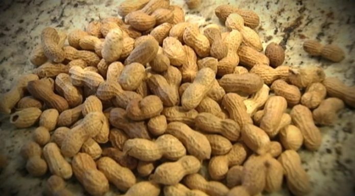 US Food and Drug Administration approves first peanut allergy drug, Palforzia, to reduce reactions in children