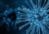 Chemists Design New Compounds That Thwart Viruses – Blocks Replication of Coronavirus