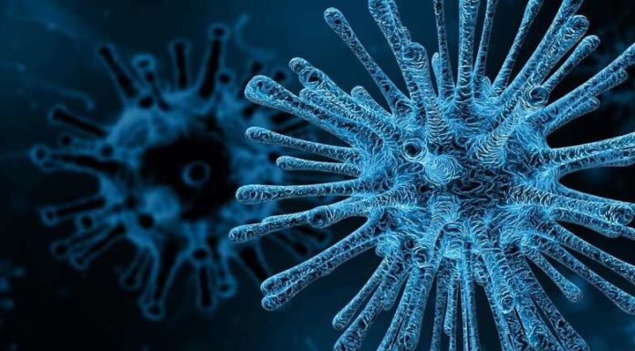 Chemists Design New Compounds That Thwart Viruses – Blocks Replication of Coronavirus