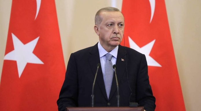 Erdogan to meet Putin with hopes of reaching Idlib ceasefire