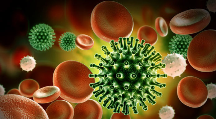 Coronavirus Has Mutated Into More Aggressive Disease According To New Study