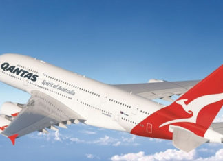 Qantas cuts almost a quarter of all flights and says its CEO