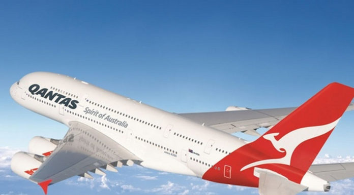 Qantas cuts almost a quarter of all flights and says its CEO