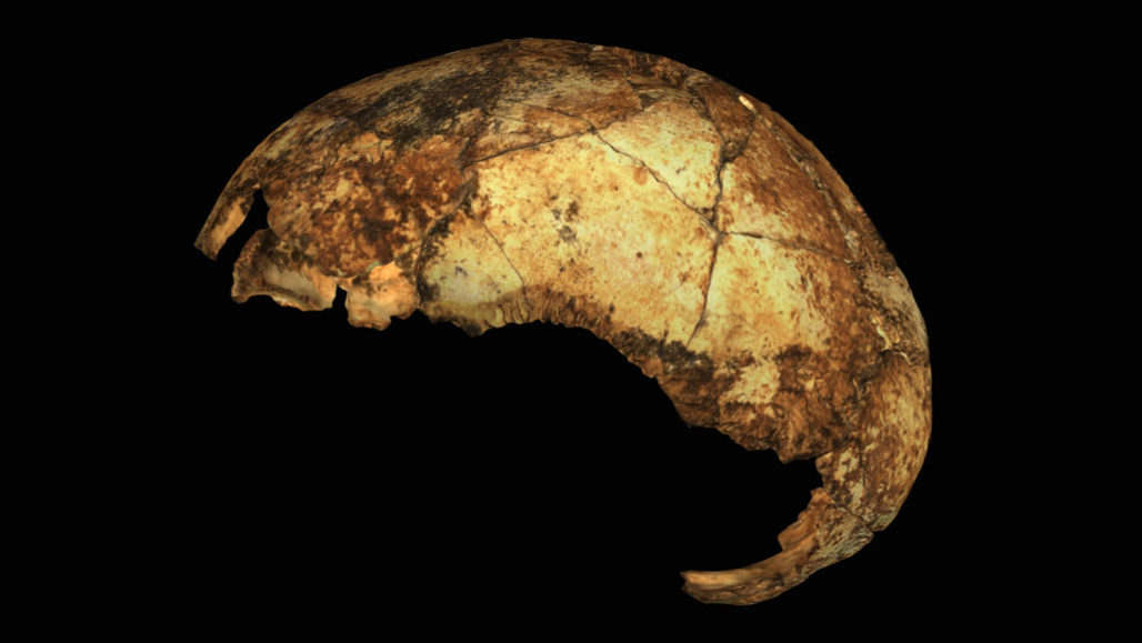 Southern Africa may have hosted a hominid transition 2 million years ago