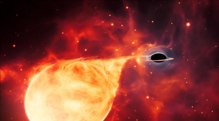 Evidence of Elusive “Missing Link” in Black Hole Evolution Found by Hubble Space Telescope