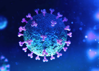 Researchers Identify Specific Cells in Body Likely Targeted by COVID-19 Virus