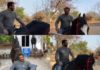 Salman Khan's Epic Horseback Ride Sends Former Bigg Boss Contestants Into Meltdown