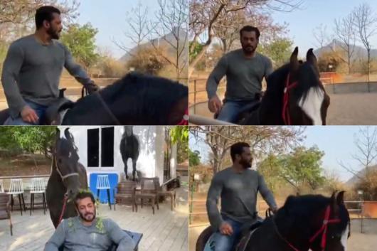 Salman Khan's Epic Horseback Ride Sends Former Bigg Boss Contestants Into Meltdown