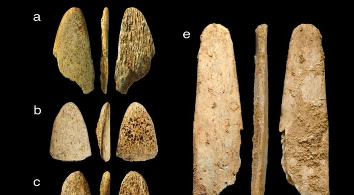 Analysis of Ancient Bone Tools Shows Neanderthals Were Quite Sophisticated