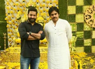 Oh No! Jr NTR rejected, Pawan Kalyan accepted it