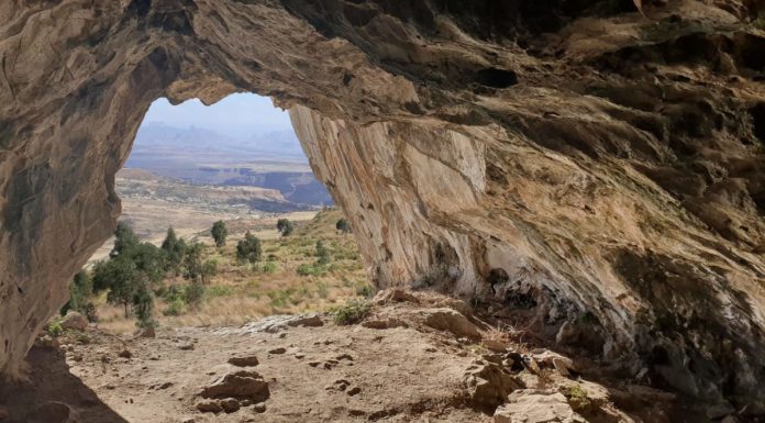 Archaeologists Uncover a Lost World and Extinct Ecosystem