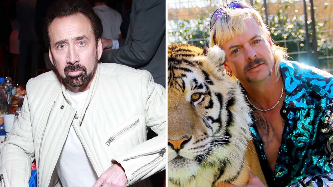 Nicolas Cage to play Joe Exotic in a new Tiger King scripted series