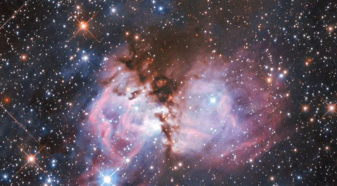 This Scene of Stellar Creation Is the Perfect Laboratory to Study the Origin of Massive Stars