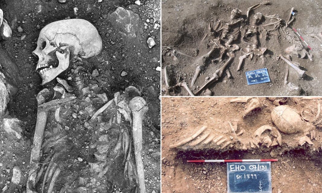 Extinct Genetic Strains of Smallpox – World’s Deadliest Virus – Discovered in the Teeth of Viking Skeletons