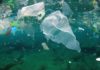 Plastic You Put in Recycling Bin May End Up in Asian Waters