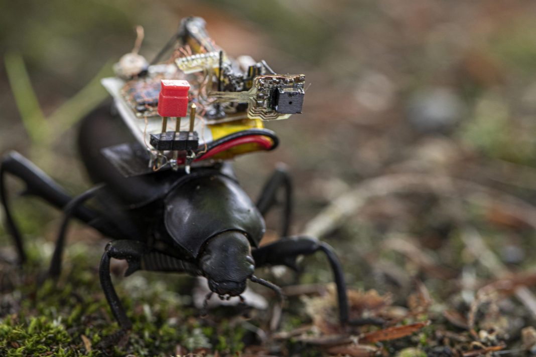 GoPro for Beetles: Robotic Camera Backpack Developed for Insects and Tiny Robots