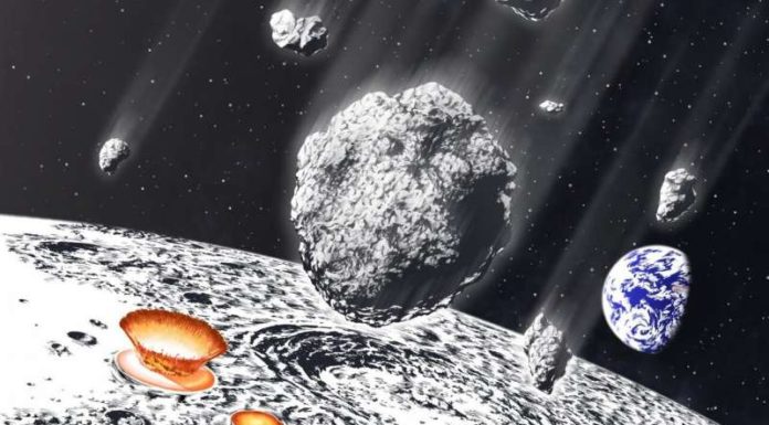 Massive Asteroid Shower on Earth-Moon System 800 Million Years Ago — 30–60x More Mass Than Chicxulub Impact