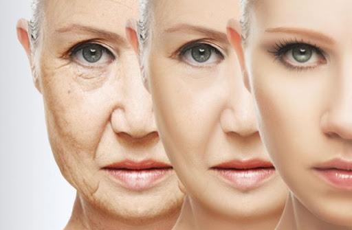 Scientists are one step closer to delaying aging