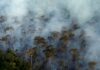 Amazon fires rage in early August as fears of mass blazes mount