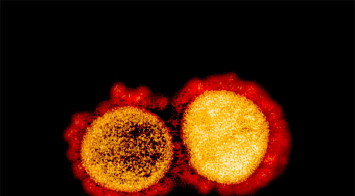 Malaysia detects coronavirus strain that’s ten times more infectious