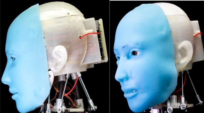Scientists Develop Open-Source AI Humanoid Head Eva That Uses Facial Expressions to Communicate Like Humans