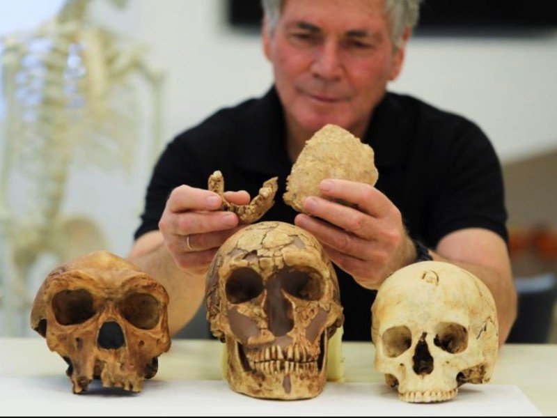 Bones of 'New Type of Early Human' Found in Israel, May Shed New Light on Human Evolution