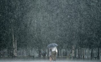 Google uses AI to predict rainfall